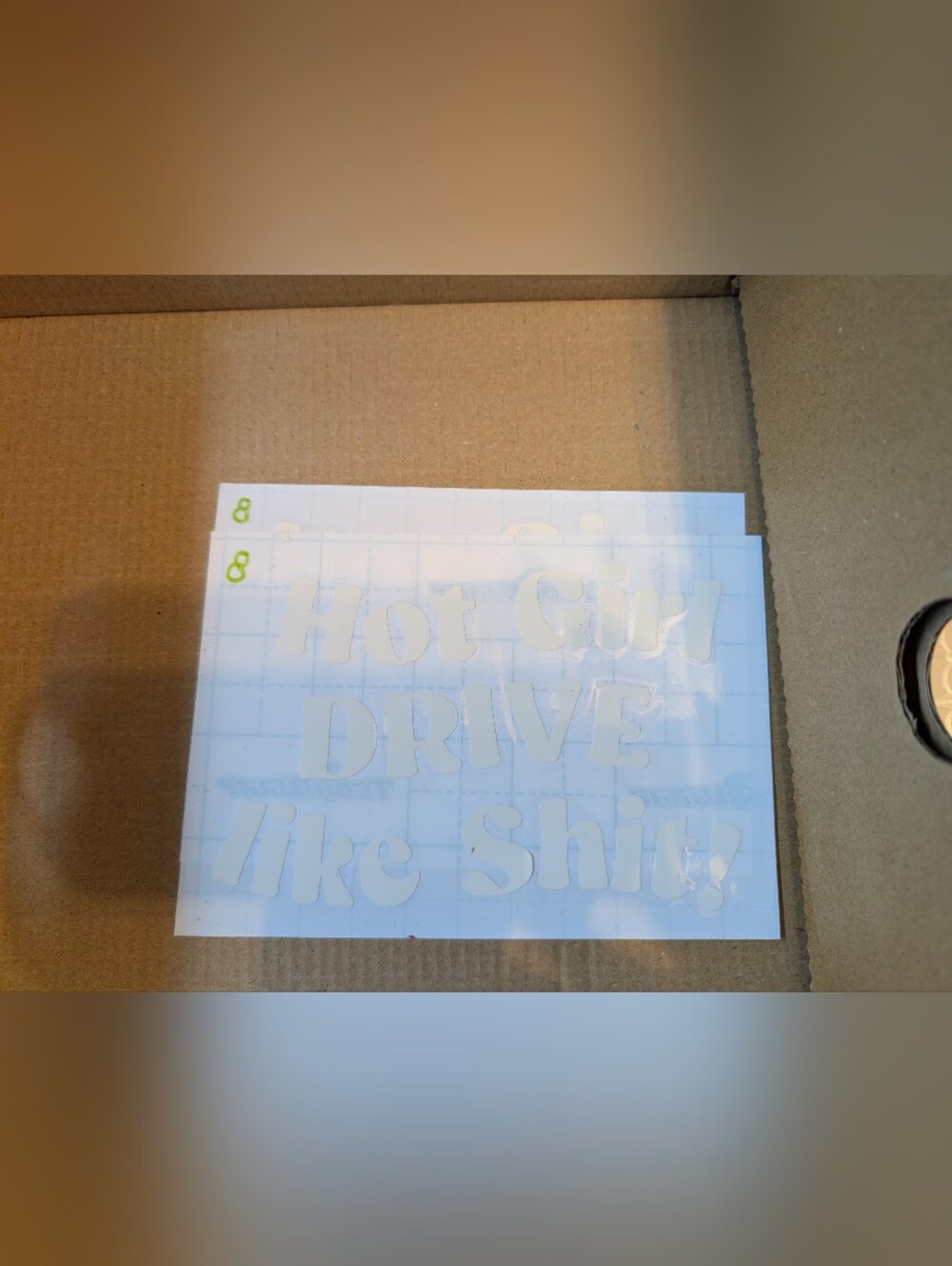 Decal "Hot Girl Drive Like Sh't!"